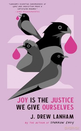 Joy is the Justice We Give Ourselves - J. Drew [KSIĄŻKA]