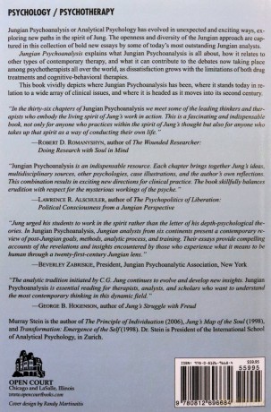 Jungian Psychoanalysis: Working in the Spirit of Carl Jung - Murray Stein [KSIĄŻKA]