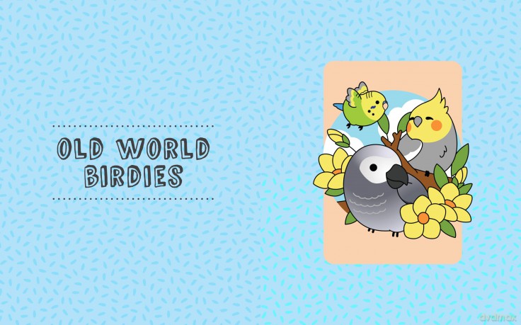 Kawaii Birdies: Learn to Draw 80 Adorable Feathered Friends - Jen Budrock [KSIĄŻKA]