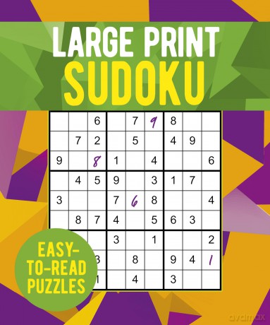 Large Print Sudoku: Over 250 Easy-to-Read Puzzles - Eric Saunders [KSIĄŻKA]