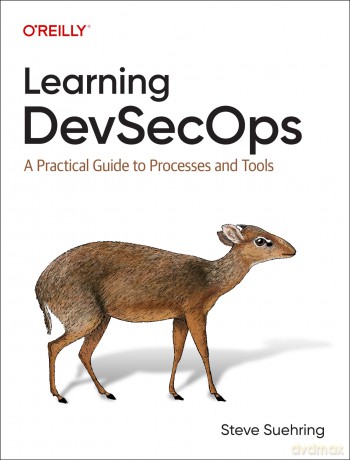 Learning Devsecops: A Practical Guide to Processes and Tools - Steve Suehring [KSIĄŻKA]