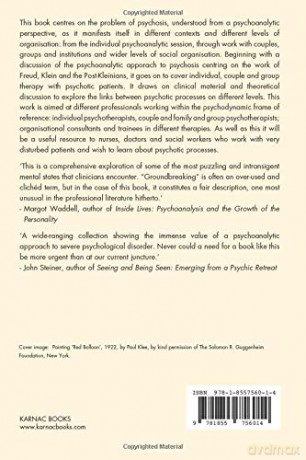 Living on the Border: Psychotic Processes in the Individual, the Couple, and the Group (The Tavistock Clinic Series) - David Bell [KSIĄŻKA]
