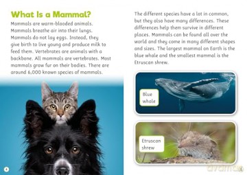 Mammals (BookLife Non-Fiction Readers) - Charlie Ogden [KSIĄŻKA]