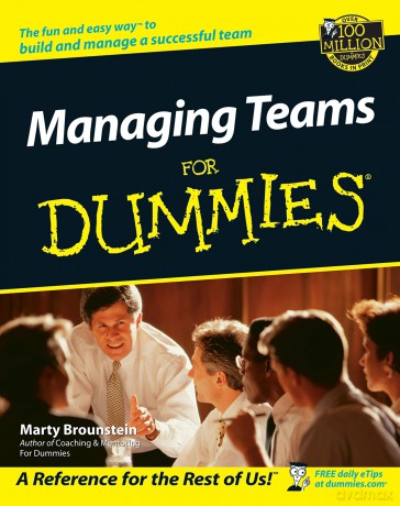 Managing Teams For Dummies - Marty Brounstein [KSIĄŻKA]