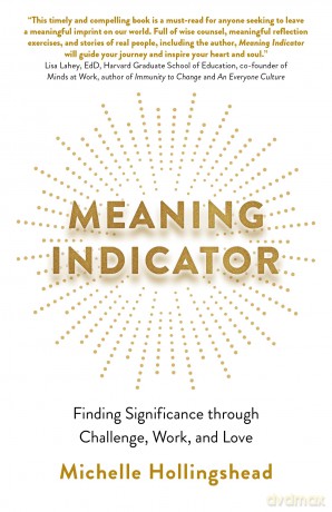 Meaning Indicator: Finding Significance through Challenge, Work, and Love - Michel Hollingshead [KSIĄŻKA]