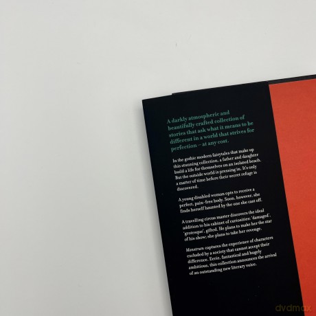 Monstrum: From the winner of the BBC Young Writers' Award 2020 - Lottie Mills [KSIĄŻKA]