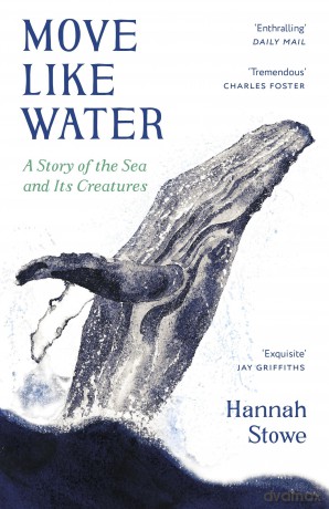 Move Like Water: A Story of the Sea and Its Creatures - Hannah Stowe [KSIĄŻKA]