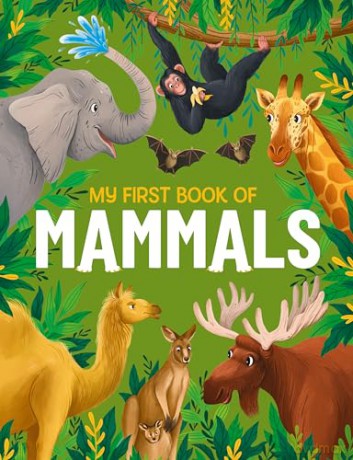 My First Book of Mammals: A amazing first Look at mammals found around the world: 3: An Awesome First Look at Mammals from Around the World - Olivia Watson [KSIĄŻKA]
