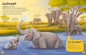 My First Book of Mammals: A amazing first Look at mammals found around the world: 3: An Awesome First Look at Mammals from Around the World - Olivia Watson [KSIĄŻKA]