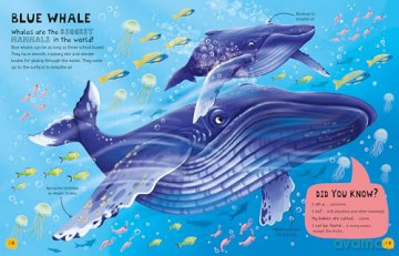 My First Book of Mammals: A amazing first Look at mammals found around the world: 3: An Awesome First Look at Mammals from Around the World - Olivia Watson [KSIĄŻKA]