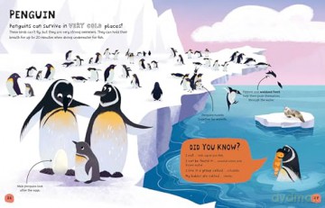 My First Book of Ocean Life: An Illustrated First Look at Ocean Life from Around the World: 4 - Olivia Watson [KSIĄŻKA]