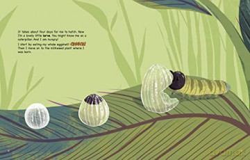 My Life as a Monarch Butterfly (My Life Cycle) - John Sazaklis [KSIĄŻKA]