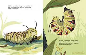 My Life as a Monarch Butterfly (My Life Cycle) - John Sazaklis [KSIĄŻKA]
