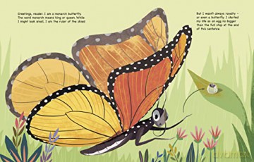 My Life as a Monarch Butterfly (My Life Cycle) - John Sazaklis [KSIĄŻKA]