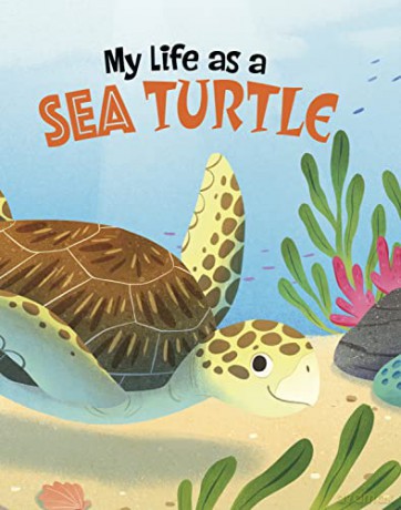 My Life as a Sea Turtle (My Life Cycle) - John Sazaklis [KSIĄŻKA]