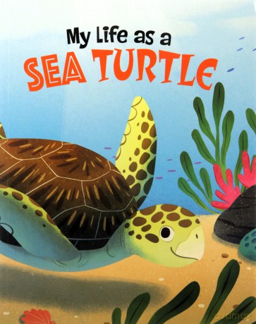 My Life as a Sea Turtle (My Life Cycle) - John Sazaklis [KSIĄŻKA]