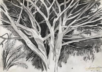 Nigel Hall: Drawings - Andrew Lambirth [KSIĄŻKA]