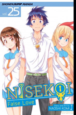 Nisekoi: False Love, Vol. 25: Volume 25 - Naoshi Komi [KSIĄŻKA]