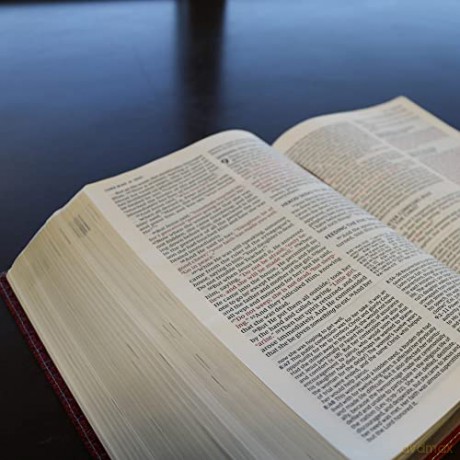 NKJV, Wiersbe Study Bible, Genuine Leather, Brown, Thumb Indexed, Red Letter, Comfort Print: Be Transformed by the Power of God's Word - Warren Wiersbe [KSIĄŻKA]