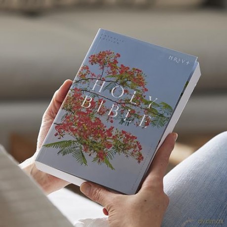 NRSV Catholic Edition Bible, Royal Poinciana Paperback (Global Cover Series): Holy Bible - Catholic Bible Press [KSIĄŻKA]