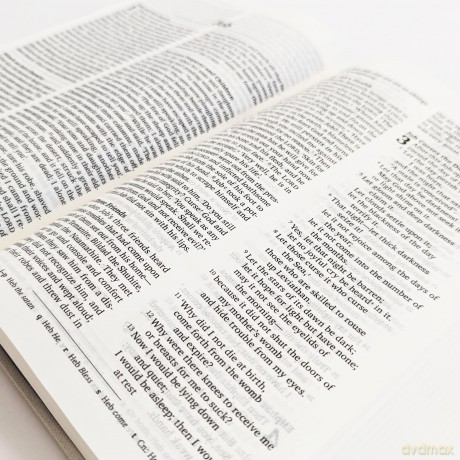 NRSVue Holy Bible: New Revised Standard Version Updated Edition: British Text in Durable Hardback Binding [KSIĄŻKA]