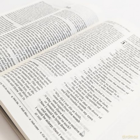 NRSVue Holy Bible: New Revised Standard Version Updated Edition: British Text in Durable Hardback Binding [KSIĄŻKA]