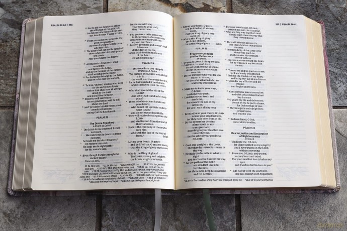 NRSVue, Artisan Collection Bible, Leathersoft, Multi-color/Cream, Comfort Print: New Revised Standard Version, Multi-Color/Cream, Leathersoft, Comfort Print, Artisan Collection [KSIĄŻKA]