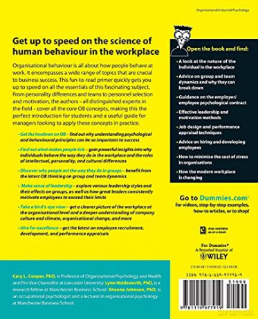 Organisational Behaviour For Dummies - Cary L Et Al Cooper [KSIĄŻKA]