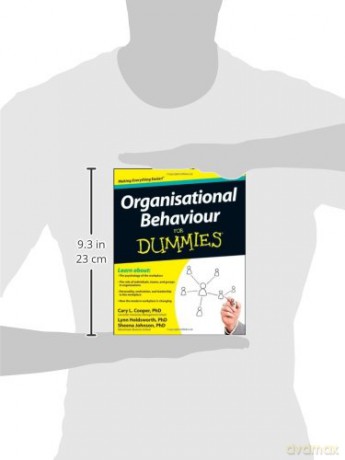 Organisational Behaviour For Dummies - Cary L Et Al Cooper [KSIĄŻKA]