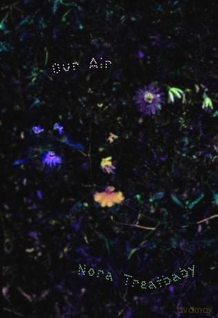 Our Air [KSIĄŻKA]