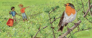 Our Wild Garden: let the wild into your kids' lives! - Daniel Seton [KSIĄŻKA]