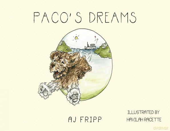 Paco's Dreams - Aj Fripp [KSIĄŻKA]