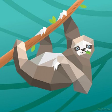 Paint by Sticker Kids: Rainforest Animals [KSIĄŻKA]