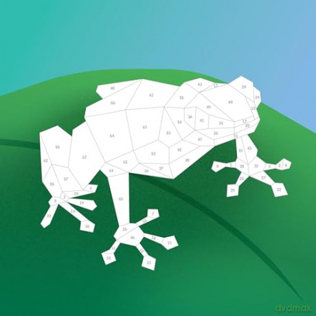 Paint by Sticker Kids: Rainforest Animals [KSIĄŻKA]