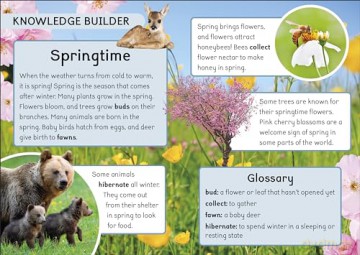 Phonic Books Dandelion World Stages 8-15 (Consonant blends and digraphs) - Phonic Books [KSIĄŻKA]