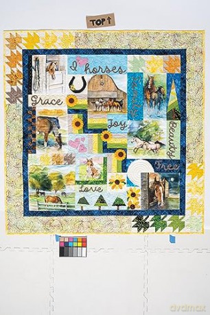 Playful Panel Quilts: Surprising Settings, Stunning Results - Cyndi Mcchesney [KSIĄŻKA]