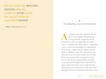 Pocket Nature: Beekeeping: Explore the Marvelous World of Honeybees - Silva Ariel [KSIĄŻKA]