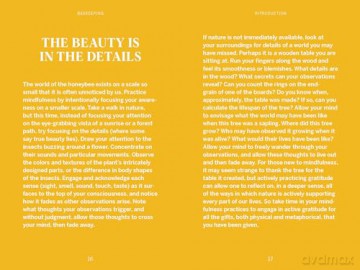 Pocket Nature: Beekeeping: Explore the Marvelous World of Honeybees - Silva Ariel [KSIĄŻKA]