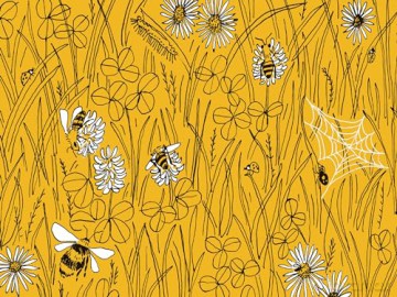 Pocket Nature: Beekeeping: Explore the Marvelous World of Honeybees - Silva Ariel [KSIĄŻKA]