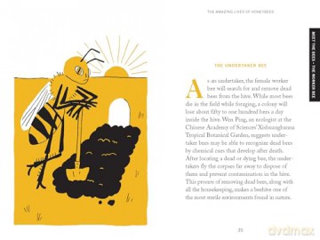 Pocket Nature: Beekeeping: Explore the Marvelous World of Honeybees - Silva Ariel [KSIĄŻKA]