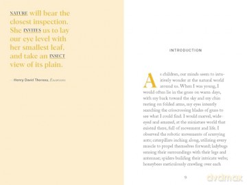 Pocket Nature: Beekeeping: Explore the Marvelous World of Honeybees - Silva Ariel [KSIĄŻKA]