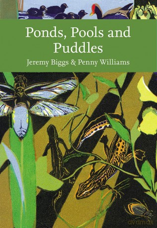 Ponds, Pools and Puddles (Collins New Naturalist Library) - Penny Williams [KSIĄŻKA]