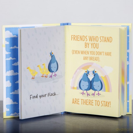 Positivity Pigeon: Inspirational Gift Book - Boxer Gifts [KSIĄŻKA]
