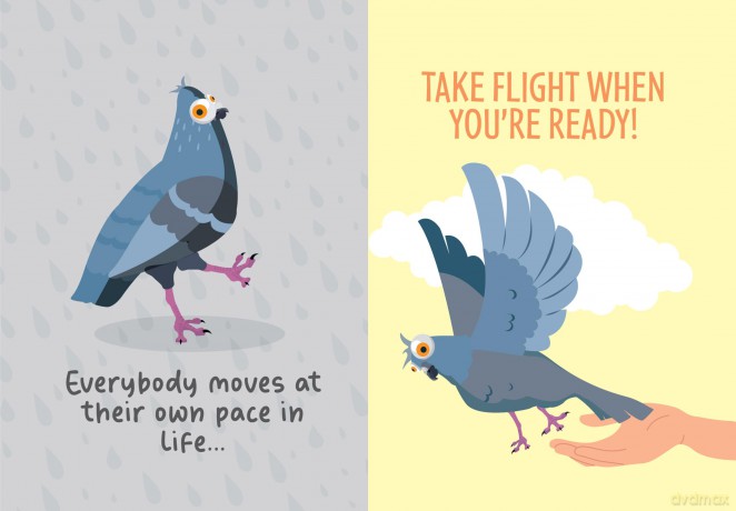 Positivity Pigeon: Inspirational Gift Book - Boxer Gifts [KSIĄŻKA]