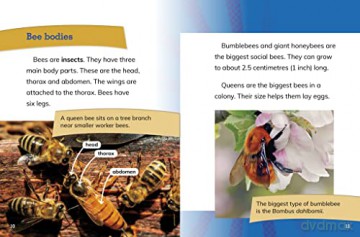 Queen Bees: Rulers of the Hive (Queens of the Animal World) - Maivboon Sang [KSIĄŻKA]