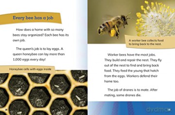 Queen Bees: Rulers of the Hive (Queens of the Animal World) - Maivboon Sang [KSIĄŻKA]