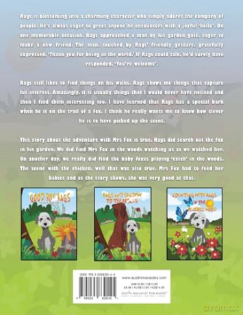 Rags and the Adventure with Mrs Fox - A. M. Houston [KSIĄŻKA]