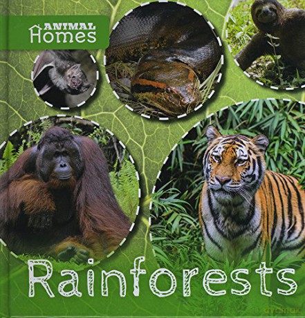 Rainforests (Animal Homes) - Holly Duhig [KSIĄŻKA]