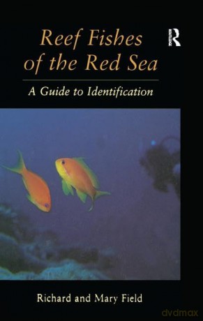 Reef Fish Of The Red Sea: A Guide to Identification - Field [KSIĄŻKA]