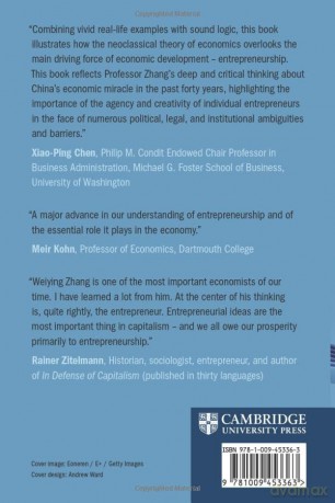 Re-Understanding Entrepreneurship: What It Is and Why It Matters - Zhang Weiying [KSIĄŻKA]